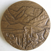 Médaille Société Française De Transports Et Entrepôts Frigorifiques 1920 - 1970, Par Belmondo - Professionals / Firms