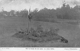 Thème:   Guerre 14/18    Chien Fidèle Sur La Tombe De Ses Amis           ( Voir Scan) - War 1914-18