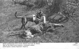 Thème:   Guerre 14/18     Crois Rouge Chien Ambulancier Trouvant Un Blessé            ( Voir Scan) - Guerra 1914-18