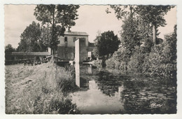 79 - Montcoutant - Le Moulin De Braud - Moncoutant