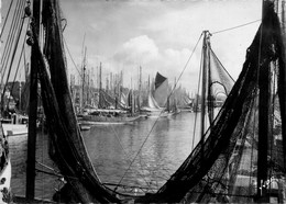 Concarneau * Thonniers Au Port - Concarneau