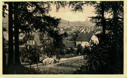 Föhrste. Blick Vom Schlehberg - Alfeld