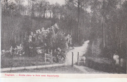 Tieghem - Grotte Dans Le Bois Avec Aquariums - Anzegem