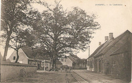 Zoersel : De Lindeboom  --- 1926 - Zörsel