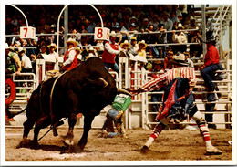 Canada Alberta Calgary Exhibition And Stampede Brahma Bull Riding And Rodeo Clowns - Calgary