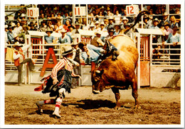 Canada Alberta Calgary Exhibition And Stampede Brahma Bull Riding And Rodeo Clowns - Calgary
