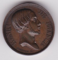 Médaille HENRI DE FRANCE - HENRI V - Henri D'Artois (1820-1883), Duc De Bordeaux Et Comte De Chambord. - Royaux / De Noblesse