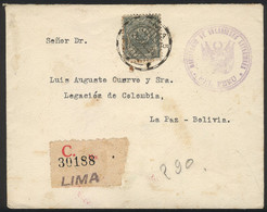 PERU: Registered Cover Franked By Sc.O30, From Lima To Bolivia On 26/DE/1934, VF Quality! - Perù