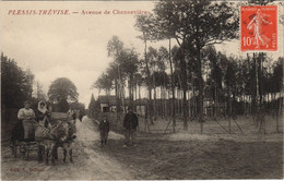 CPA PLESSIS-TRÉVISE - Avenue De Chenneviéres (44545) - Le Plessis Trevise