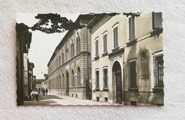 Cartolina Illustrata Imola - Via Cavour - Scuole Carducci, Non Viaggiata - Imola