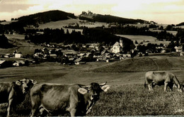 Pays Divers  / Allemagne   Deutschland / Bernbeuren - Andere & Zonder Classificatie