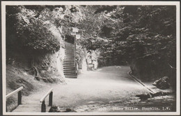 Chine Hollow, Shanklin, Isle Of Wight, C.1930s - Nigh RP Postcard - Shanklin