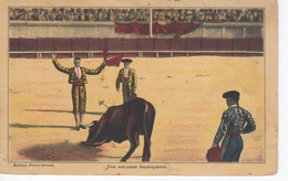 3837 Carte Postale CORRIDA Une Estocade Foudroyante      édition Photo Nîmes  Taureau - Corridas