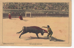 3835 Carte Postale CORRIDA Une Grande Estocade       édition Photo Nîmes  Taureau - Corridas