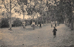 Thème Sport: Pétanque-Jeu De Boules. Sfax Tunisie   Jeu De Boules   ( Voir Scan) - Petanque