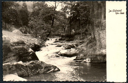 D4951 - TOP Lichtetal Thüringer Wald - Photo Henkel Handabzug - Rudolstadt