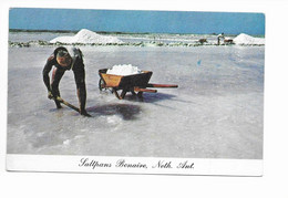 SALTPANS BONAIRE. NETH. ANT. - Bonaire