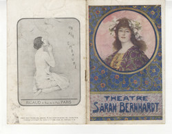 7420 - Programme Théatre : 1920 -Sarah Bernhardt - Les Nouveaux Riches - Programmes