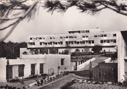 Delcampe - 83, Le Pradet, Village De Vacances Pour Familles, Jardins Et Pavillon Central - Le Pradet