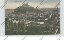 5200 SIEGBURG, Gesamtansicht, Handcoloriert - Siegburg