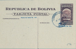 BOLIVIA , ENTERO POSTAL / STATIONERY , NO CIRCULADO , LA PAZ - PLAZA MURILLO , PALACIOS DE GOBIERNO Y LEGISLATIVO - Bolivia