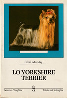 LO YORKSHIRE TERRIER - Gezelschapsdieren