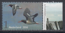 Nederland - Griend: Vogels Van Het Wad - Scholekster - MNH - NVPH 3402 - Andere