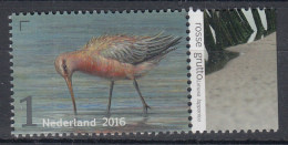 Nederland - Griend: Vogels Van Het Wad - Rosse Grutto - MNH - NVPH 3404 - Zonder Classificatie
