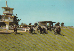 MACHECOUL. - Hippodrome Des Chaumes - Machecoul