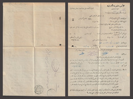 Egypt - 1948 - Rare Document - Medical Examination Form - Ministry Of Interior - Covers & Documents