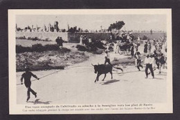 CPA Corrida Type Saintes Maries De La Mer Non Circulé Taureau - Corridas