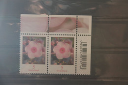 BRD; Freimarken: Blumen; 5 C; Phlox; Waagerechtes Paar; MNH; MiNr. 3296 - Sonstige & Ohne Zuordnung