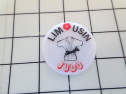 1820 Pin's Pins / Beau Et Rare / THEME : SPORTS / LIMOUSIN JUDO JUDO KARATE Pin's En Porcelaine De Limoges - Judo