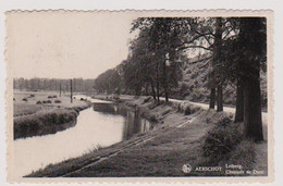 AERSCHOT AARSCHOT Leiberg. Chaussée De Diest - Uitg. Em. De Carlé-Aerts, Martelarenstraat , Aerschot  - 2 Scans - Aarschot