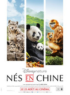 Affiche De Cinéma Authentique " NES EN CHINE " Format 120X160CM - Affiches & Posters