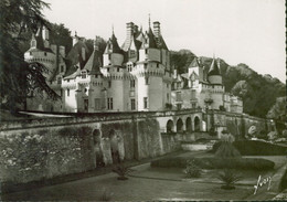 Rigny-Usse, Schloss, Frankreich Schloss 16. JH,Rigny-Usse, Alte Echtfotokarte - Reugny