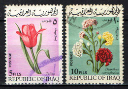 IRAQ - 1970 - Flowers: Tulip And Carnations - USATI - Irak