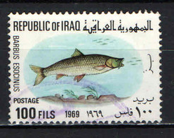 IRAQ - 1969 - Barbus Esocinus - USATO - Irak