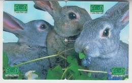 ISRAEL RABBIT HARE PUZZLE - Kaninchen