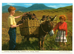 Irlande --Galway --Connemara --Collecting Turf From The Bog ( âne , Enfants )......à Saisir - Galway