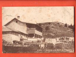 ZBF-04 Chalet Et Sommet  De La Dent De Vaulion . Cachet 1915. Deriaz 2183 - Vaulion