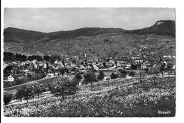 Sissach, Vue Générale (6121) - Sissach