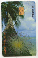 MADAGASCAR TELECARTE PALMIER - Madagascar