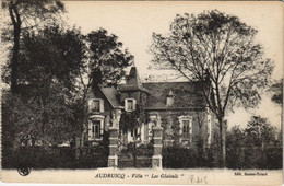 CPA AUDRUICQ-Villa "Les Glaieuls" (45720) - Audruicq