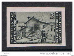 ISTRIA  OCC. JUGOSLAVA:  1946  ZAGABRIA  -  £. 5  GRIGIO  CHIARO   N.  -  N.D. -  SASS. 57 A  -  SPL - Occup. Iugoslava: Istria