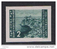 ISTRIA  OCC. JUGOSLAVA:  1946  ZAGABRIA  -  £. 2  VERDE  GRIGIO  N.  -  N.D. -  SASS. 55 A  -  SPL - Joegoslavische Bez.: Istrië