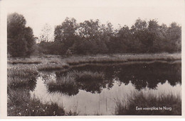 NORG Een Veenplas AB81 - Norg