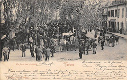 Tarbes      65       La Foire Aux Chevaux        ( Voir Scan) - Tarbes