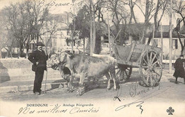 Non Localisé. Dordogne      24       Attelage Périgourdin  (voir Scan) - Sonstige & Ohne Zuordnung