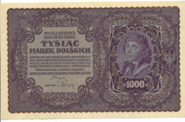 Grand Billet Polonais De 1919 - Poland